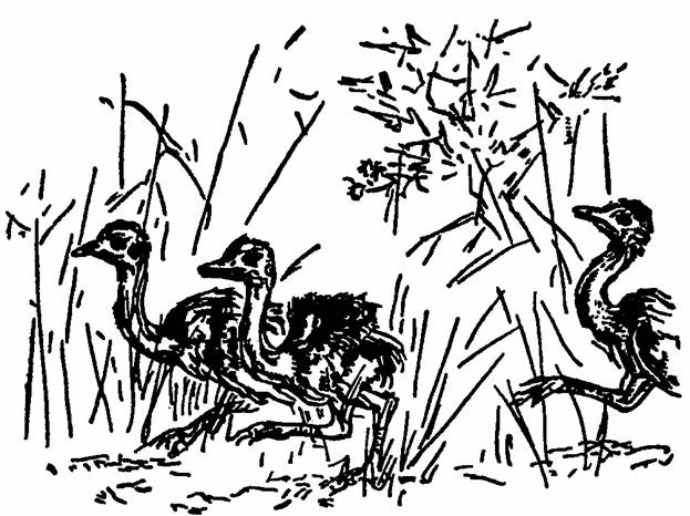 The Whispering Land pic_14.jpg