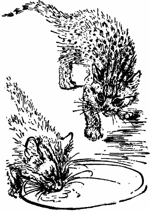The Whispering Land pic_21.jpg