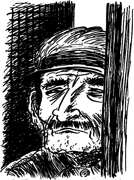Мошенник. Муртаза. Семьдесят вторая камера. Рассказы i_003.png