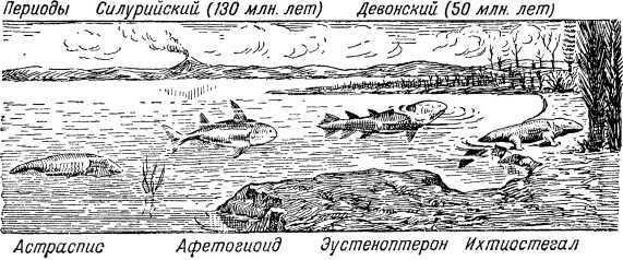 Из прошлого Земли i_035.jpg