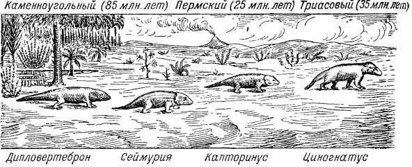 Из прошлого Земли i_036.jpg