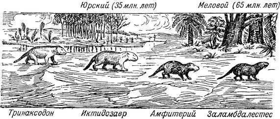 Из прошлого Земли i_037.jpg