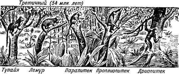 Из прошлого Земли i_038.jpg