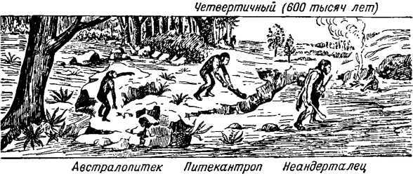 Из прошлого Земли i_039.jpg