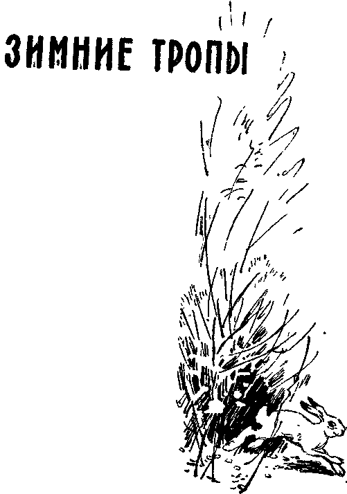 Зимние тропы i_002.png