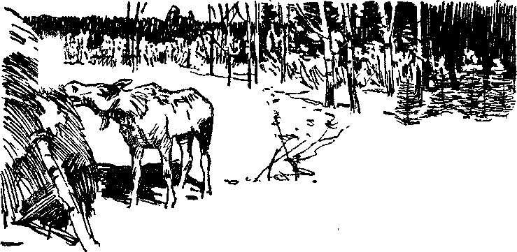 Зимние тропы i_003.png