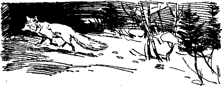 Зимние тропы i_004.png