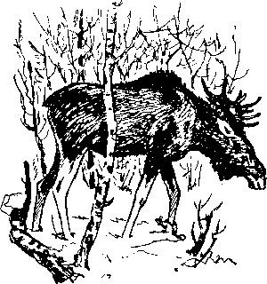 Там, где белеют палатки юннатов Tamgb071_.png