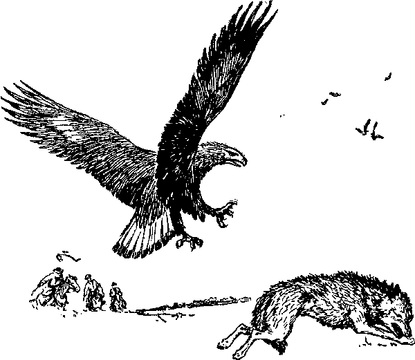 Там, где белеют палатки юннатов Tamgb081_.png