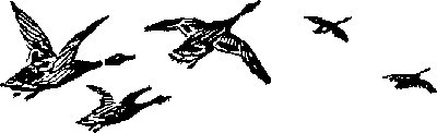 Там, где белеют палатки юннатов Tamgb041_.png
