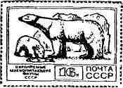 Да здравствуют медведи! img_14.jpeg