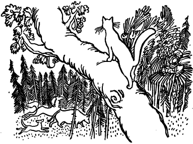 Кошка, гулявшая сама по себе i_002.png