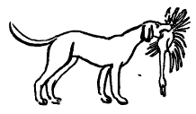 Кошка, гулявшая сама по себе i_004.png