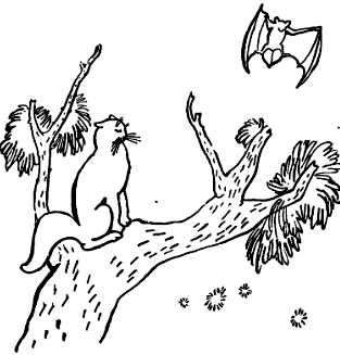 Кошка, гулявшая сама по себе i_008.png