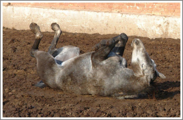 Мой друг - фотохудожник Сергей Томко _44.jpg