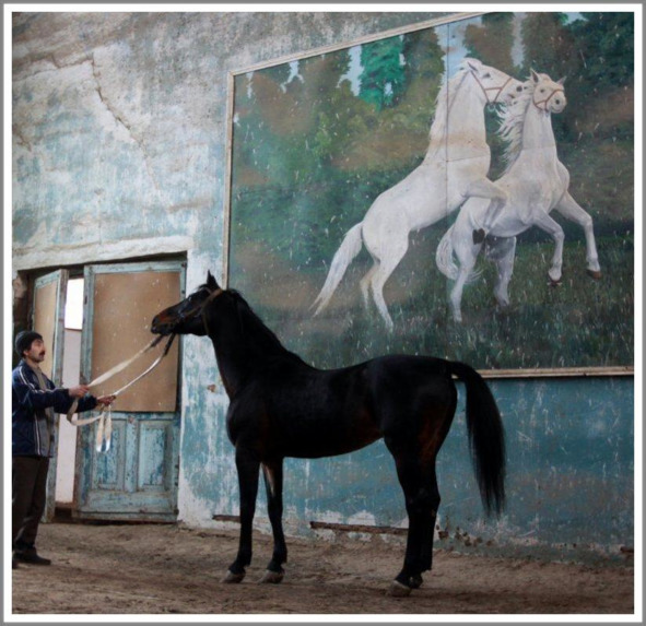 Мой друг - фотохудожник Сергей Томко _45.jpg