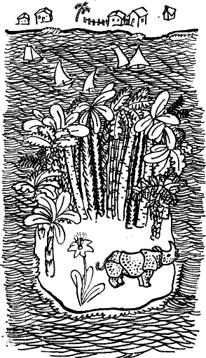 Откуда у носорога шкура i_001.png