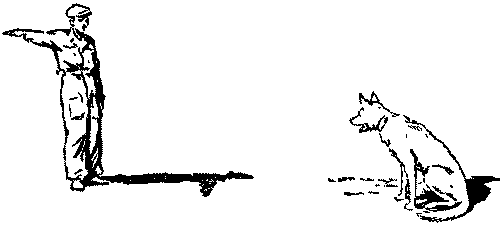 Дрессировка служебных собак i_011.png