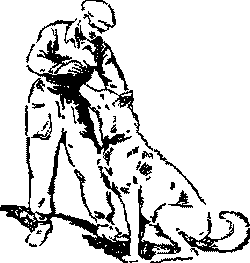 Дрессировка служебных собак i_012.png