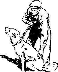 Дрессировка служебных собак i_013.png