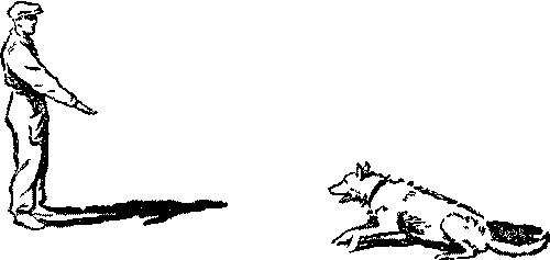 Дрессировка служебных собак i_018.png