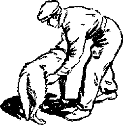 Дрессировка служебных собак i_019.png