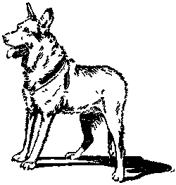 Дрессировка служебных собак i_035.png