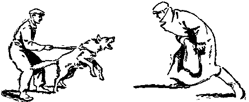 Дрессировка служебных собак i_036.png