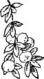 Теплый Благовест i_026.png