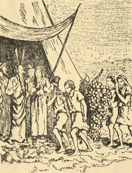 Забавная Библия (с илл.) _43.jpg