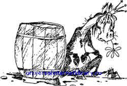 Болезнь? Ну и хрен с ней! doc2fb_image_02000024.jpg