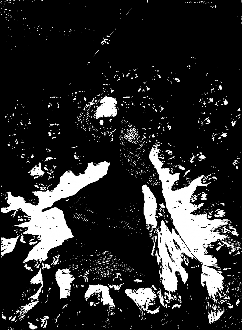The Stand any2fbimgloader5.png
