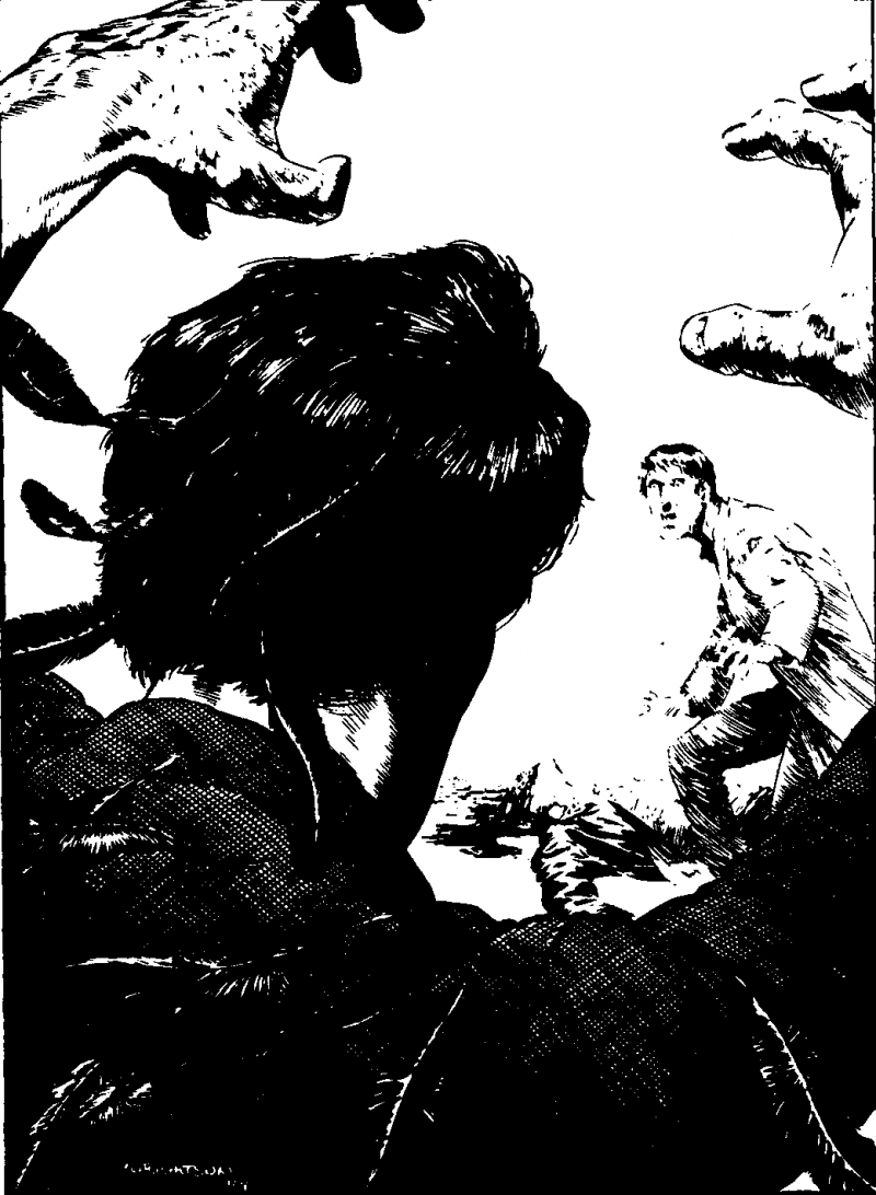 The Stand any2fbimgloader7.png