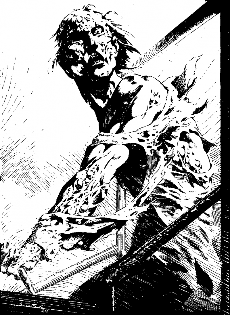 The Stand any2fbimgloader10.png