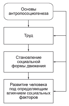 Философия в схемах и комментариях i_034.png