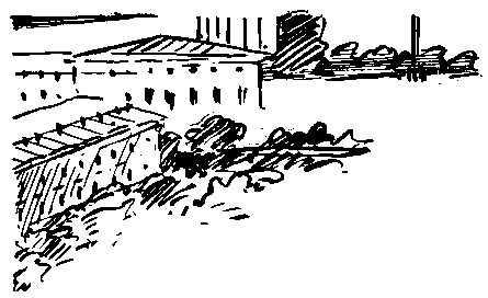 Тарантул (с илл.) pic_4.png
