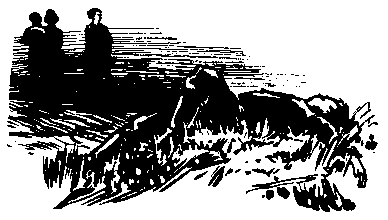 Тарантул (с илл.) pic_5.png
