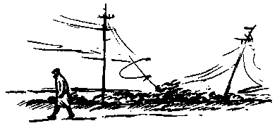 Тарантул (с илл.) pic_29.png