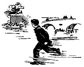 Тарантул (с илл.) pic_42.png