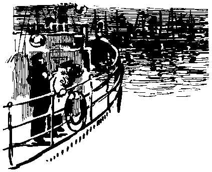 Тарантул (с илл.) pic_48.png