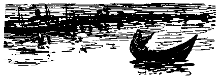 Тарантул (с илл.) pic_49.png