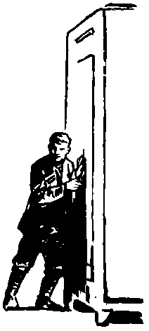 Тарантул (с илл.) pic_57.png