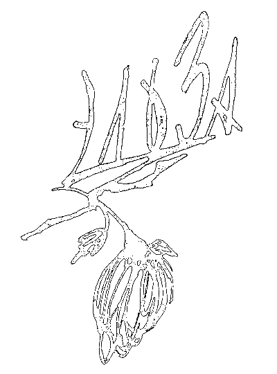 Неоконченный роман. Эльза i_003.png