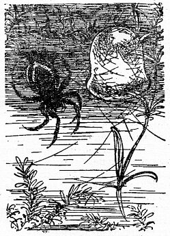 По всему свету Sc1622.png
