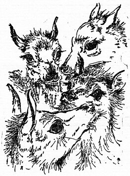 По всему свету Sc1822.png