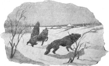 Первая рыбалка (с илл.) i_010.jpg