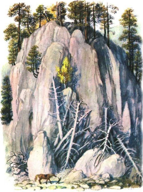 Никишкины тайны (с илл.) i_010.jpg