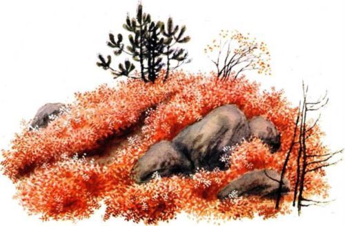 Никишкины тайны (с илл.) i_012.jpg
