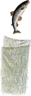 Никишкины тайны (с илл.) i_019.jpg