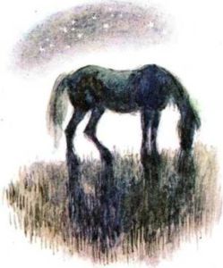 Никишкины тайны (с илл.) i_022.jpg